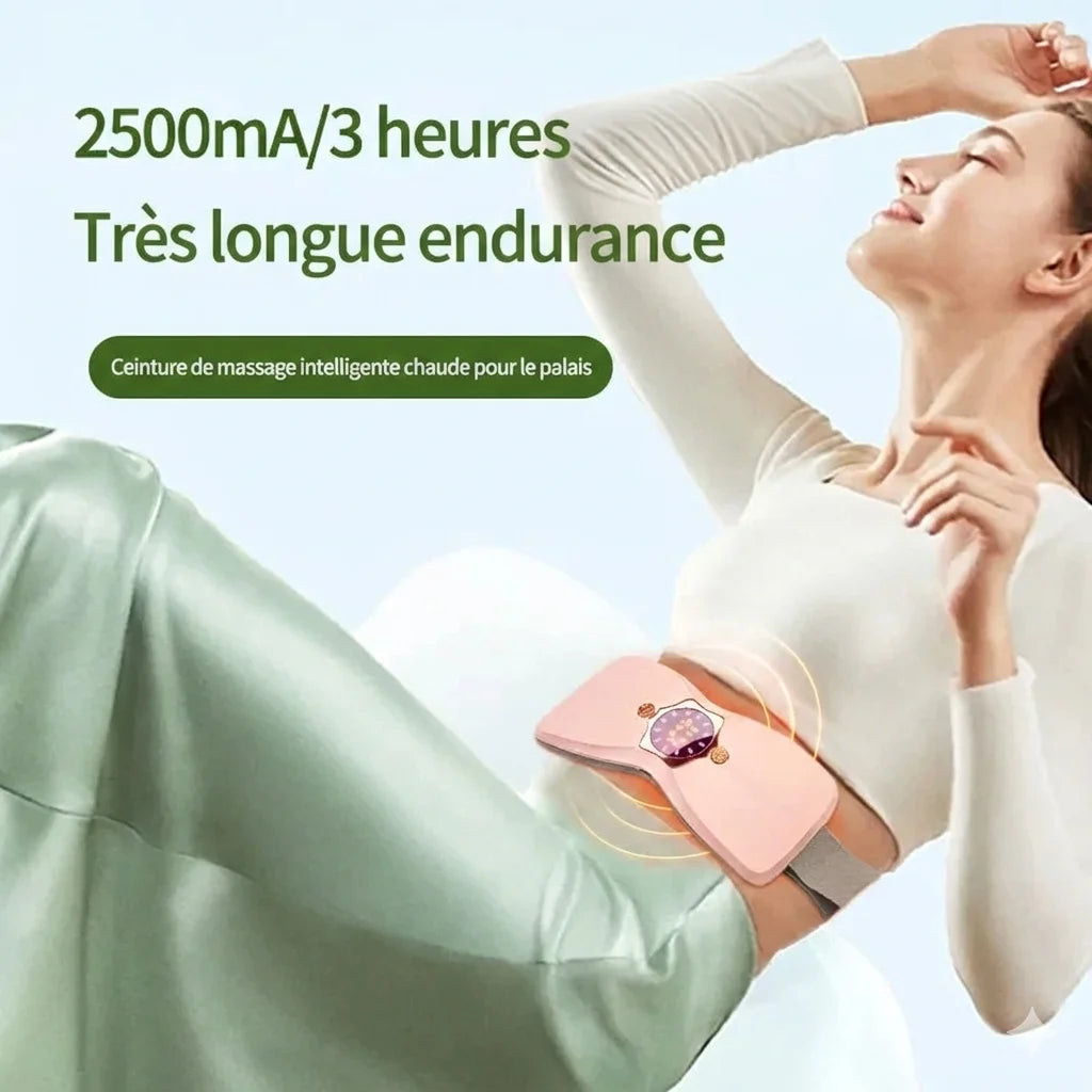 bouillotte_electrique_papillon_pour_ventre_6